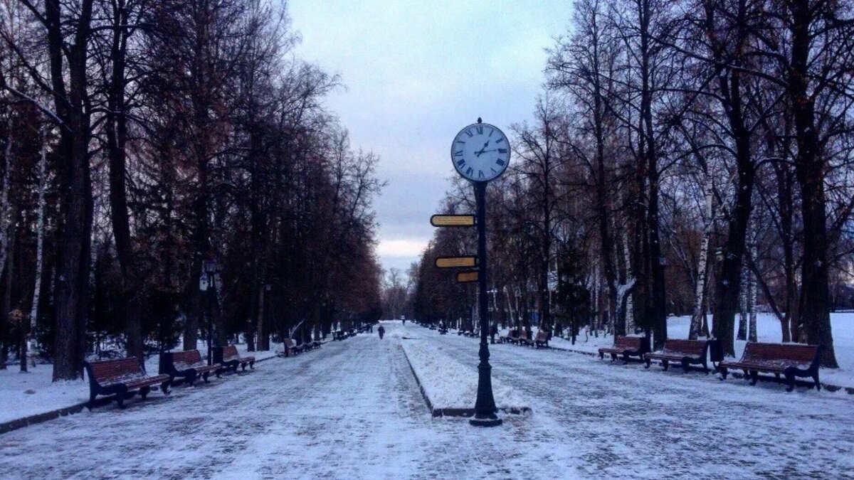 парк горького казань зимой