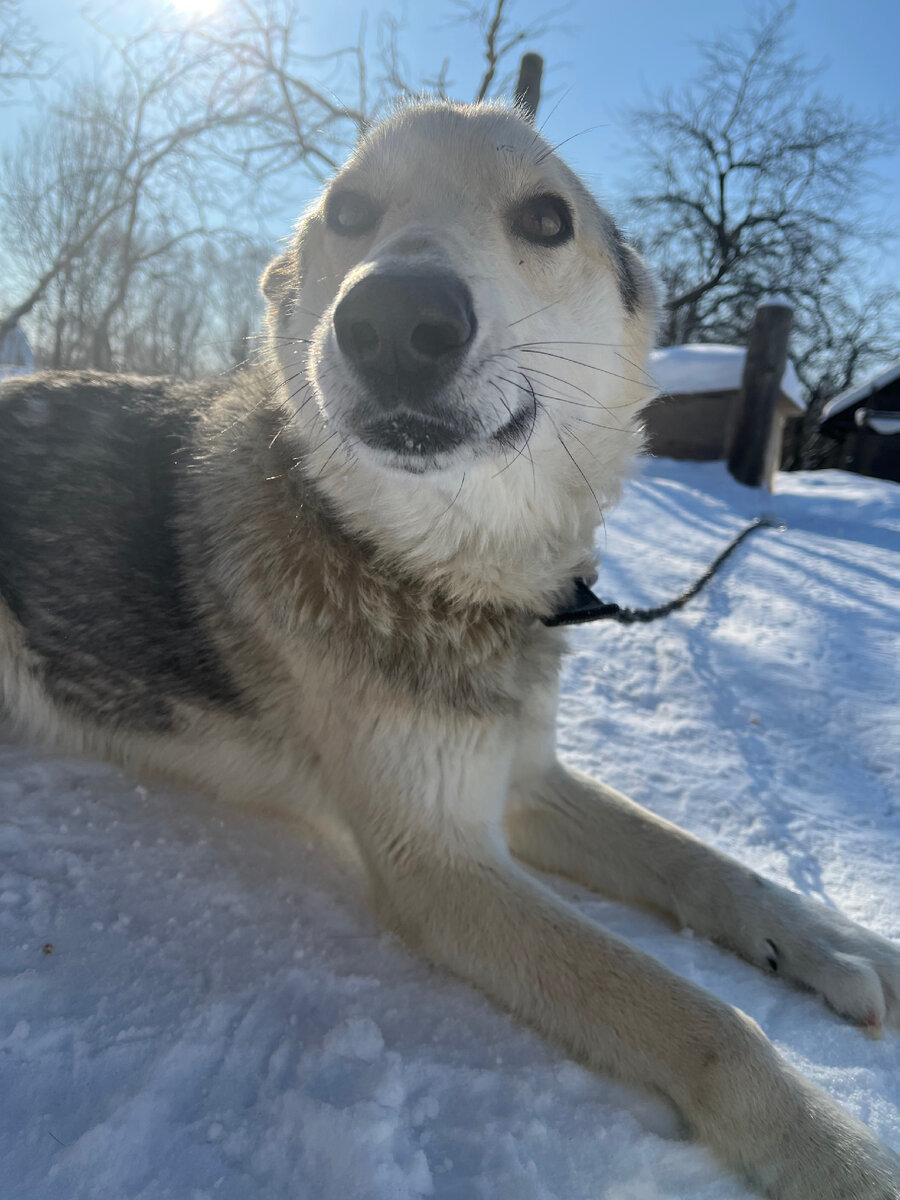 Сэм❤️