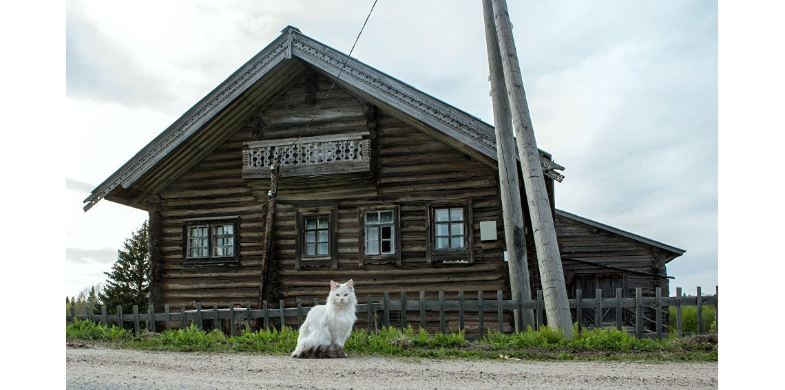 Кстати, сейчас карельская деревня Кинерма является домом всего лишь для пяти жителей