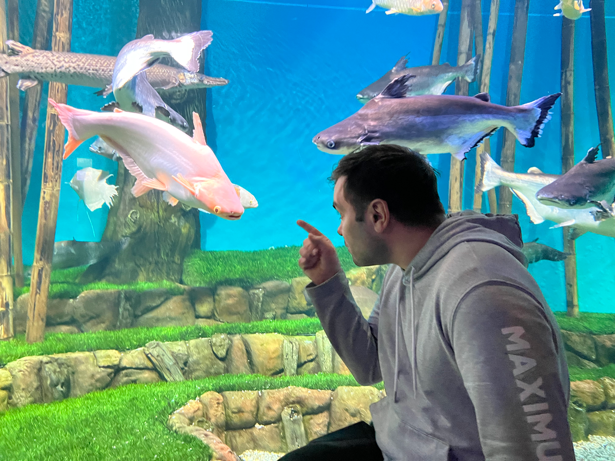 Рыбы в Москвариуме сытые и ухоженные, кажется, живут и выглядят лучше меня)