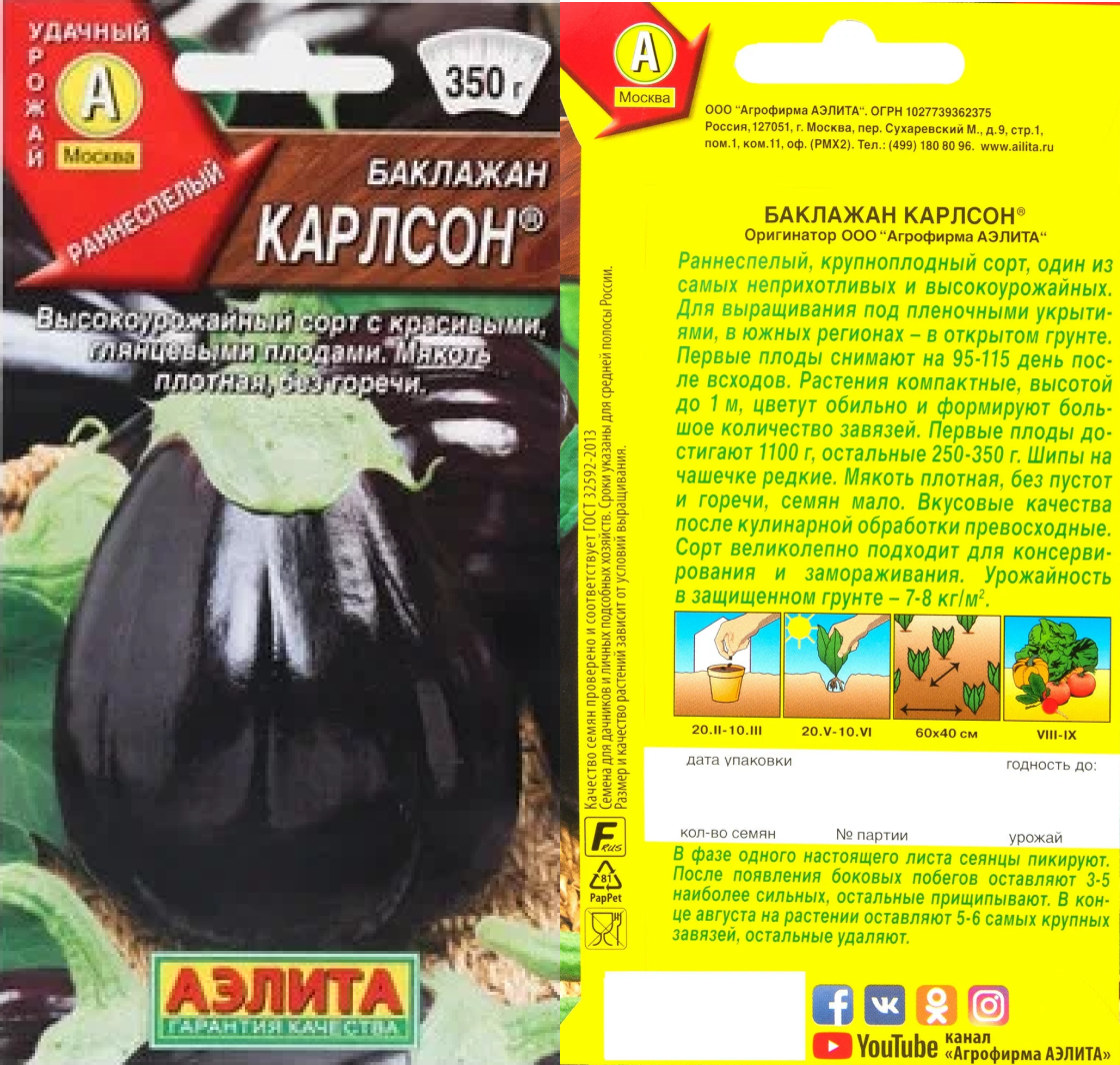 Баклажан Карлсон, Аэлита