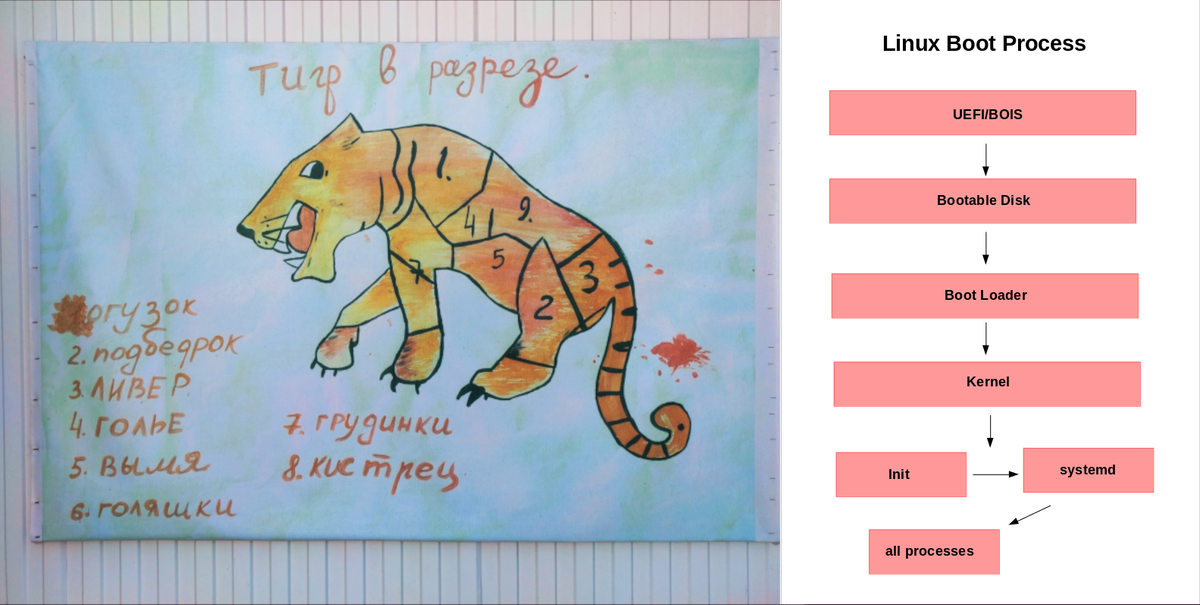 В разрезе (слева на право) - тигр, загрузка Linux. Источники: Ленфильм, "Полосатый рейс" и RAHUL BAJAJ, "Linux Boot Process" соответственно.