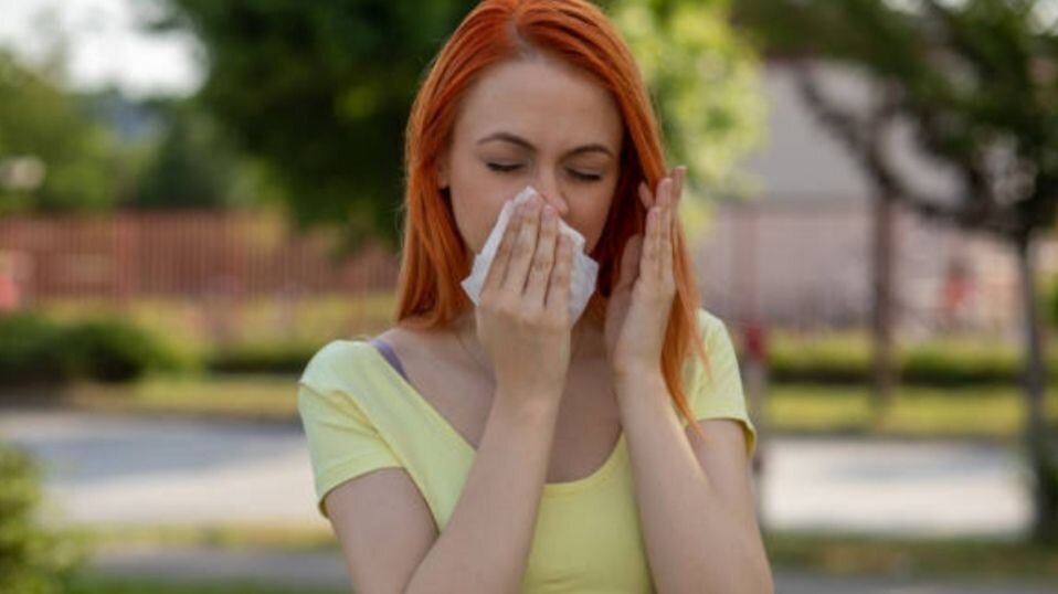 источник https://unsplash.com/