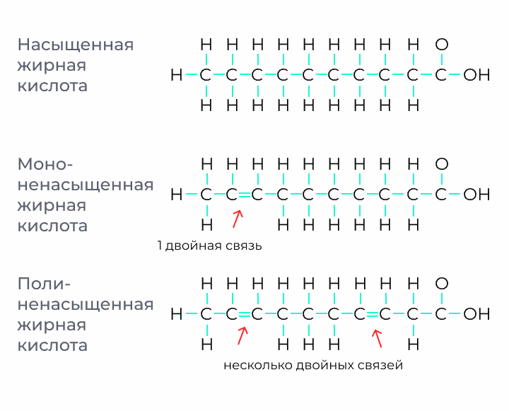 Жиры для здоровья | Насыщенные и ненасыщенные жирные кислоты | Заметки о  здоровом образе жизни | Дзен