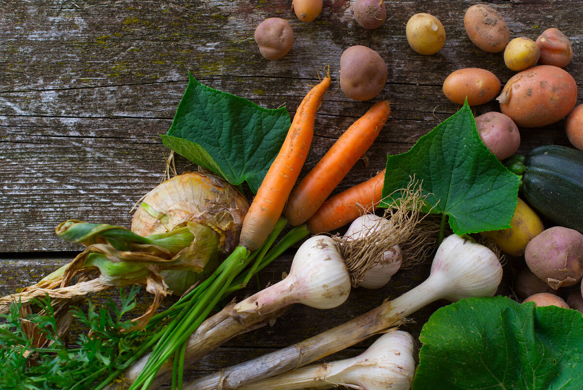    Фото: Legion-Media