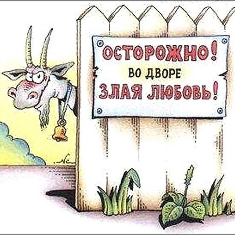 читать злая любовь. осторожно во дворе злая любовь. злая любовь. любовь зла книга. злая любовь.