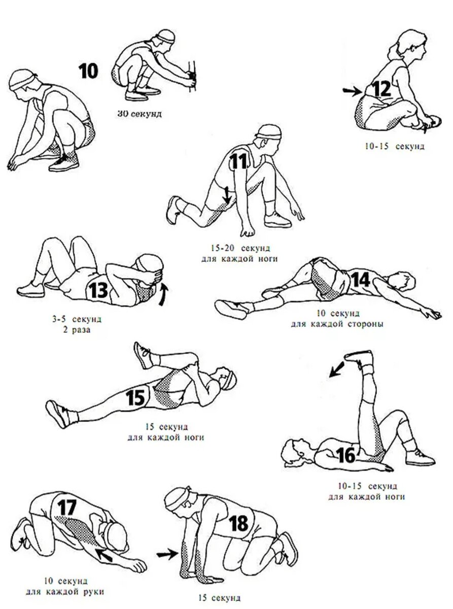 Растяжка перед тренировкой. Комплекс упражнений на растяжку мышц перед силовой тренировкой. Комплекс упражнений на растяжку после силовой тренировки. Комплекс растяжки после силовой тренировки. Упражнения для заминки после силовой тренировки.
