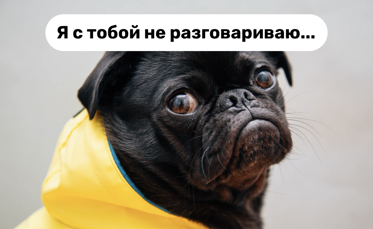 Автор фото  charlesdeluvio