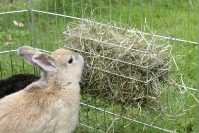 Какими бывают кормушки