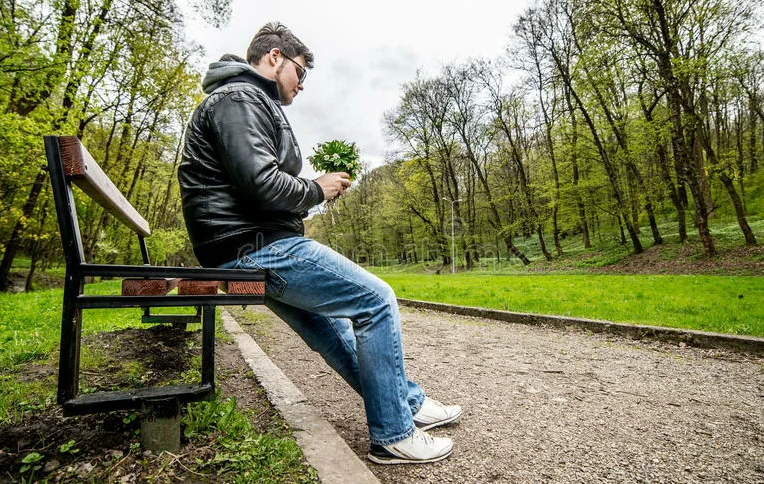 Яндекс картинки