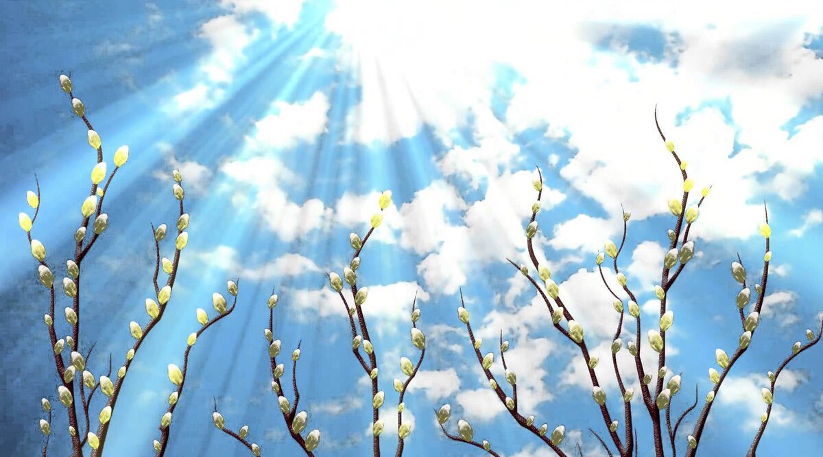 Яндекс картинки