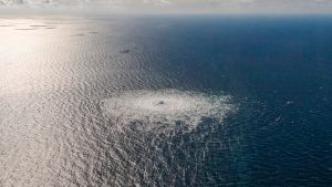   Фото: Danish Defense Ministry Игорь Чамовских
