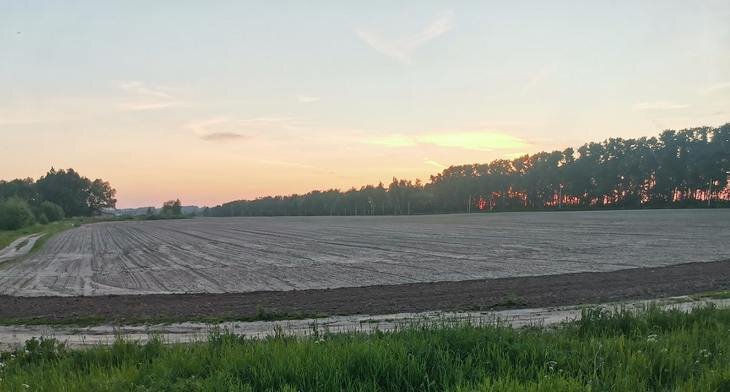    Предпосевная обработка почвы и ее важные аспекты