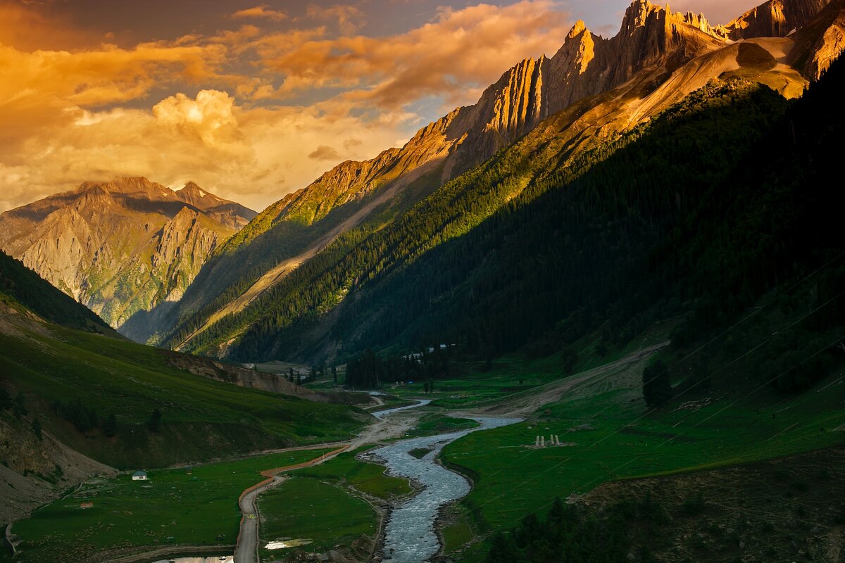 Картинка с бесплатного фотостока https://unsplash.com, автор Wan Salahuddin Wan Ismail