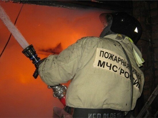     Фото: ГУ МЧС России по Томской области
