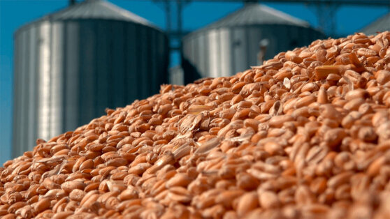    СМИ: уход западных трейдеров усилил позиции РФ на глобальном рынке продовольствия Сергей Бунеев