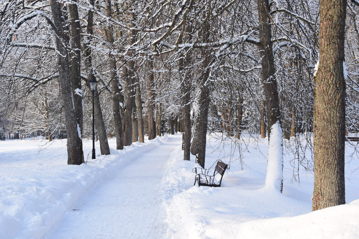 Фото автора канала "Приключения Тома Сойера".
