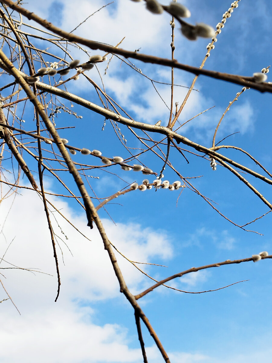 Фото из личного архива автора