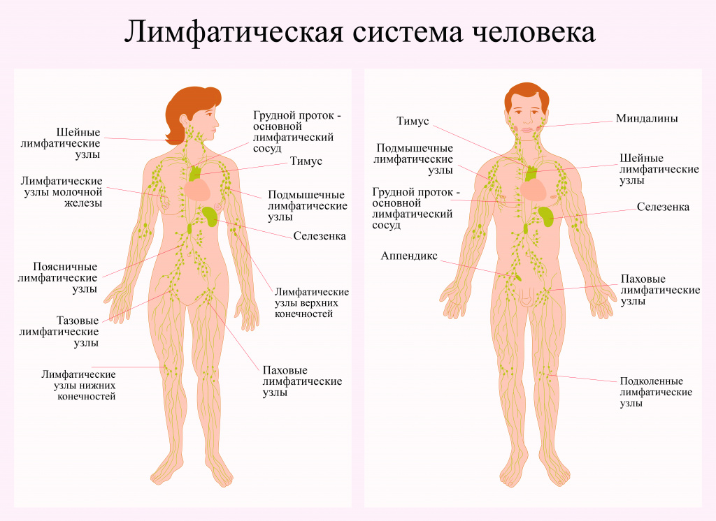 Стадии лимфом