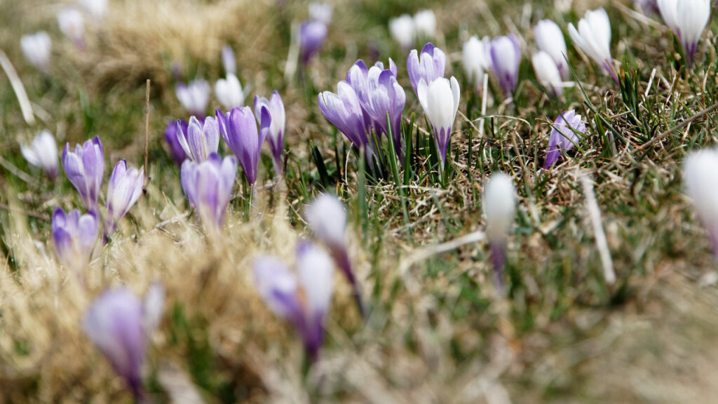 Фото: pxfuel.com