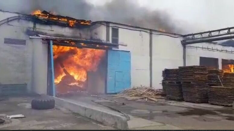     Огнеборцы продолжают тушить полыхающий цех на улице Свердлова в Лесозаводске Приморского края. По данным минГОЧС, сообщение о возгорании поступило в 12:50 25 апреля и пожар всё ещё не локализован.