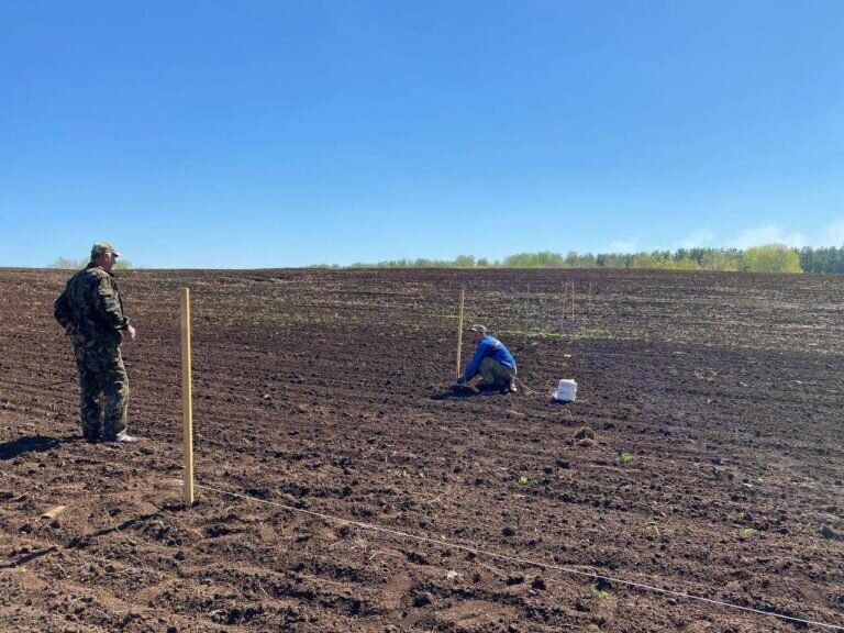    Школьники Оренбургского района высадили «Сад памяти» из 200 яблонь Марина Шарт