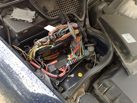 Фотография для иллюстрации. Источник: Яндекс Картинки