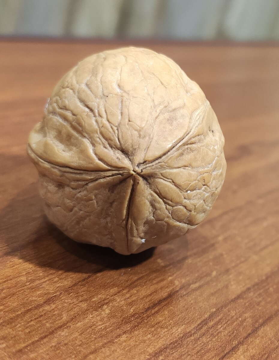 Есть что-то в этом завораживающее