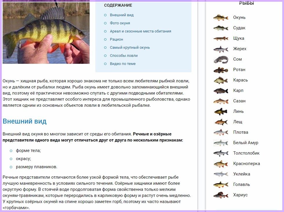 Регистрируйтесь и создавайте аватар – теперь вы знаете, где его взять!