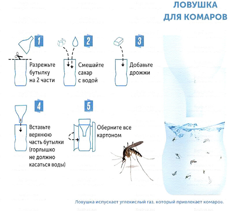 Как убрать всех комаров в комнате