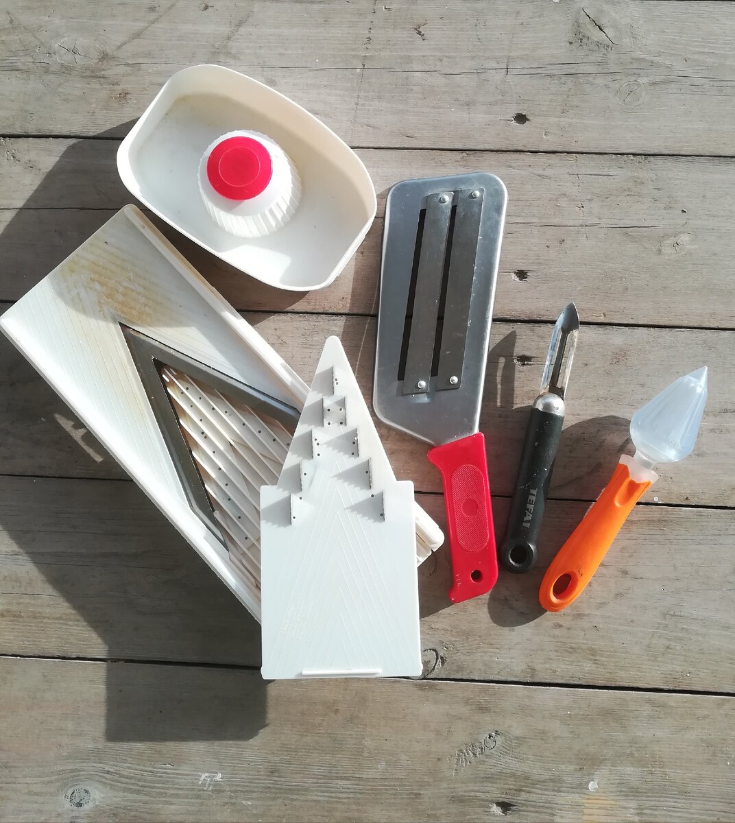 Вот они, мои помощники!