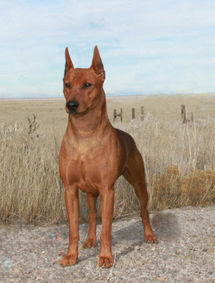 Фото из свободных источников.