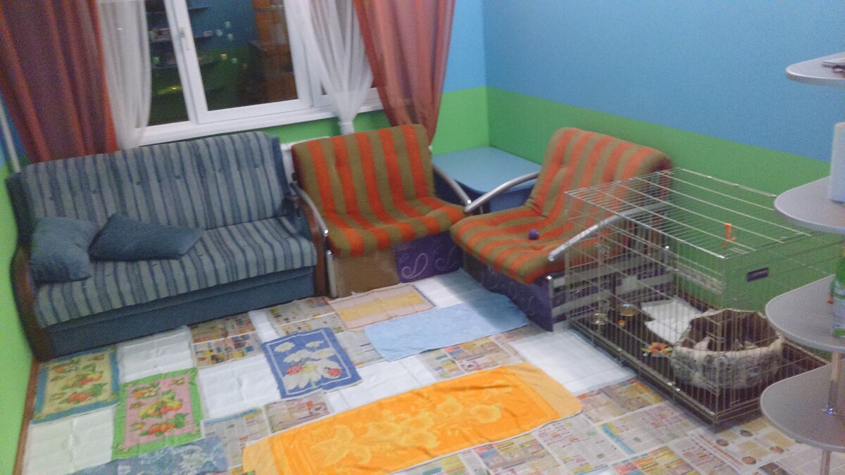 Вид комнаты во время моего эксперимента.