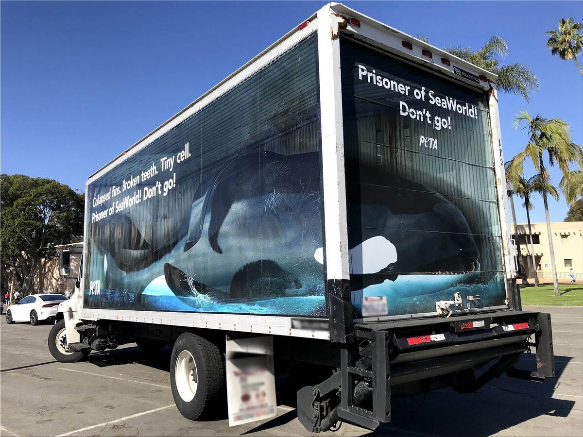 Узники океанариумов! Не ходи!