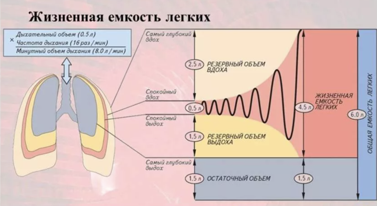 Дыхание фридайвера. Как увеличить время задержки дыхания