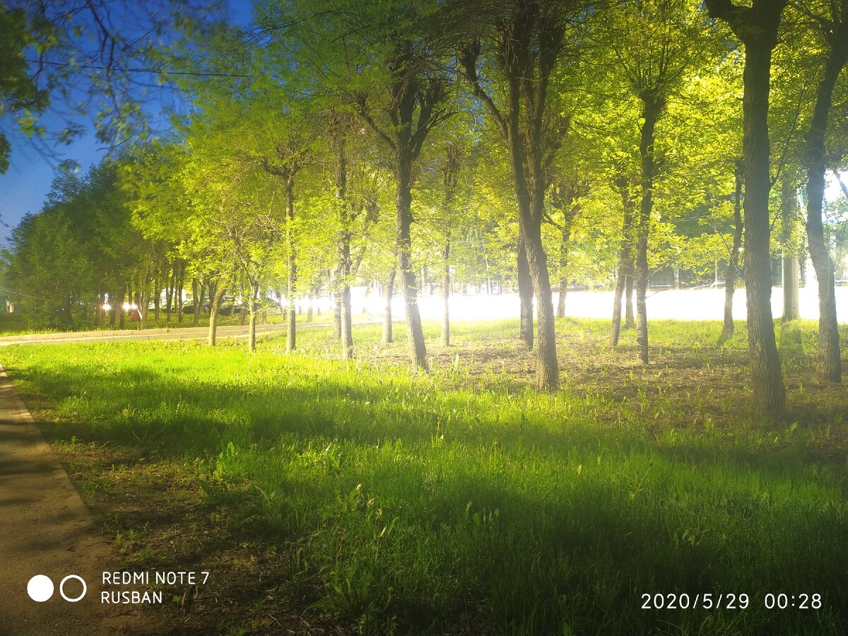 Ночная прогулка