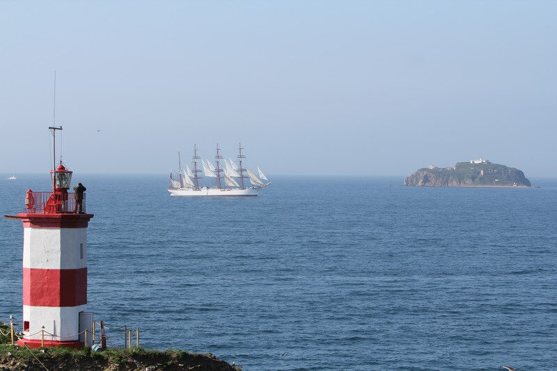 Барк "Седов" во Владивостоке. Фото: Юрий Смитюк, с сайта russiansails2020.ru