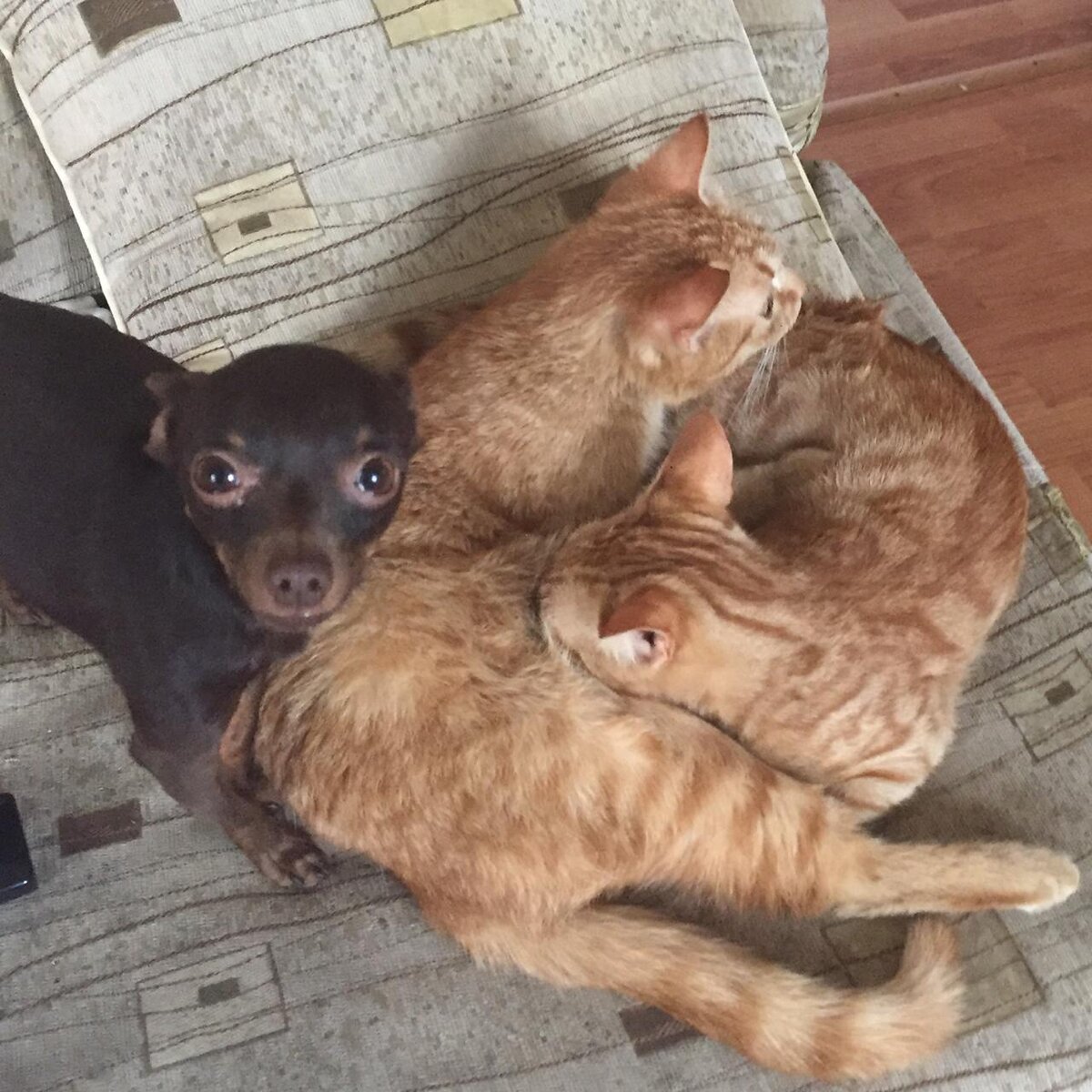 Личное фото, использование запрещено