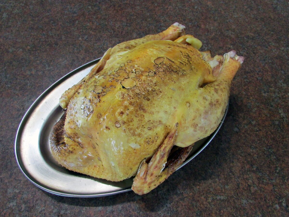 Домашняя курица. Фото Самогон Саныча.