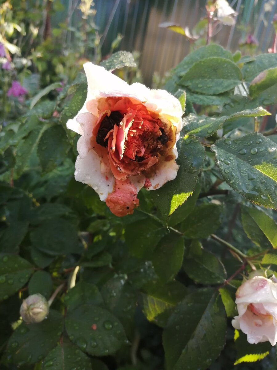 Вот такой вот ужас! 