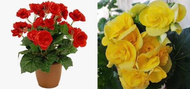 Фото взято из свободного доступа сети интернет