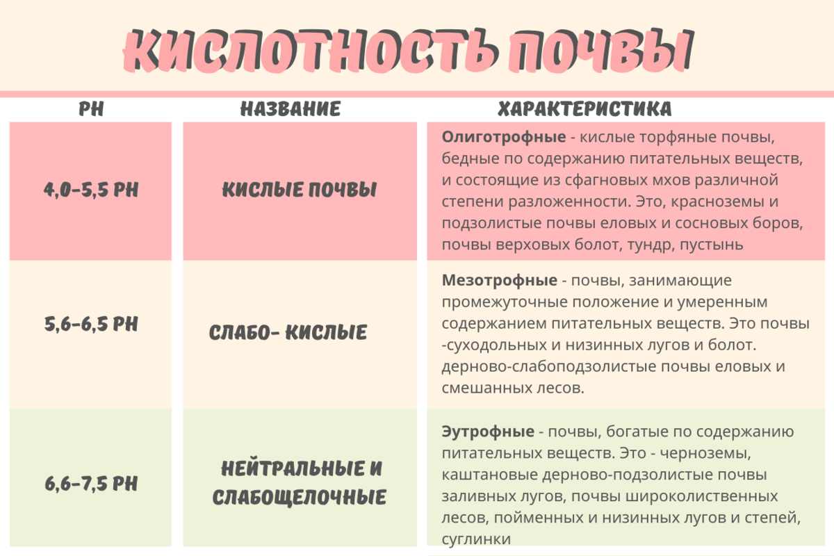 Типы почв таблица. Растения индикаторы почвы. Почвы России таблица. Почвы вывод таблицы.