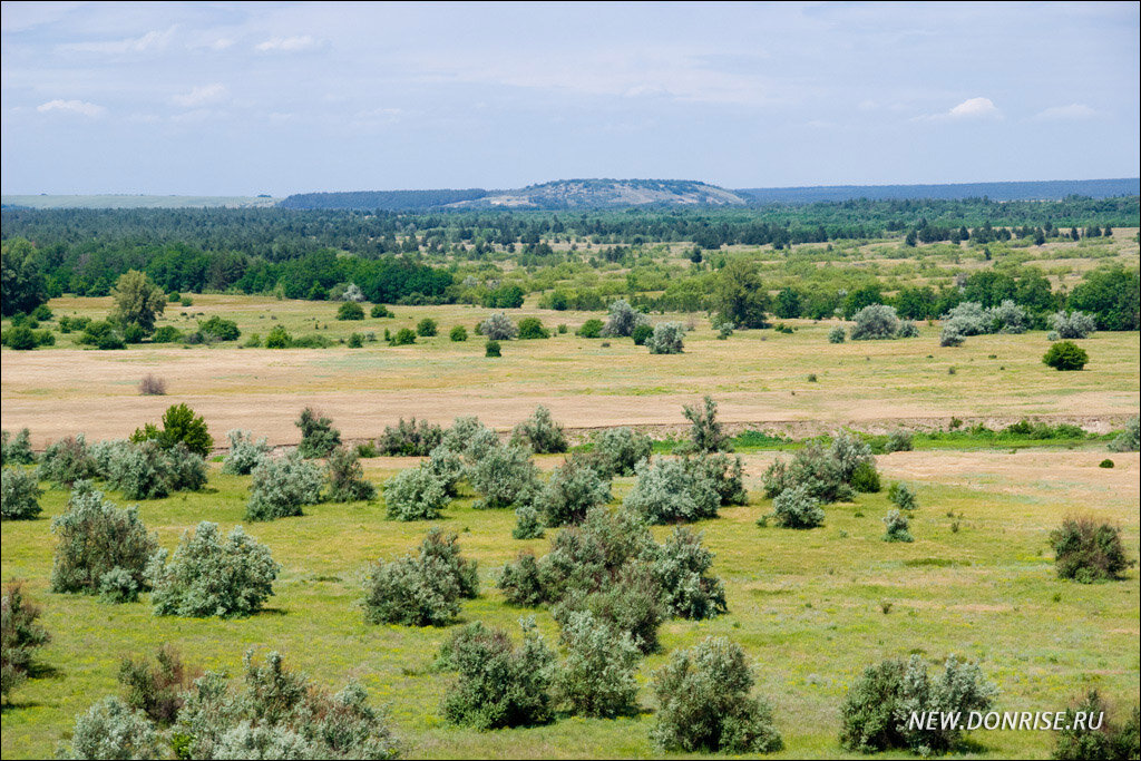 Гора городище