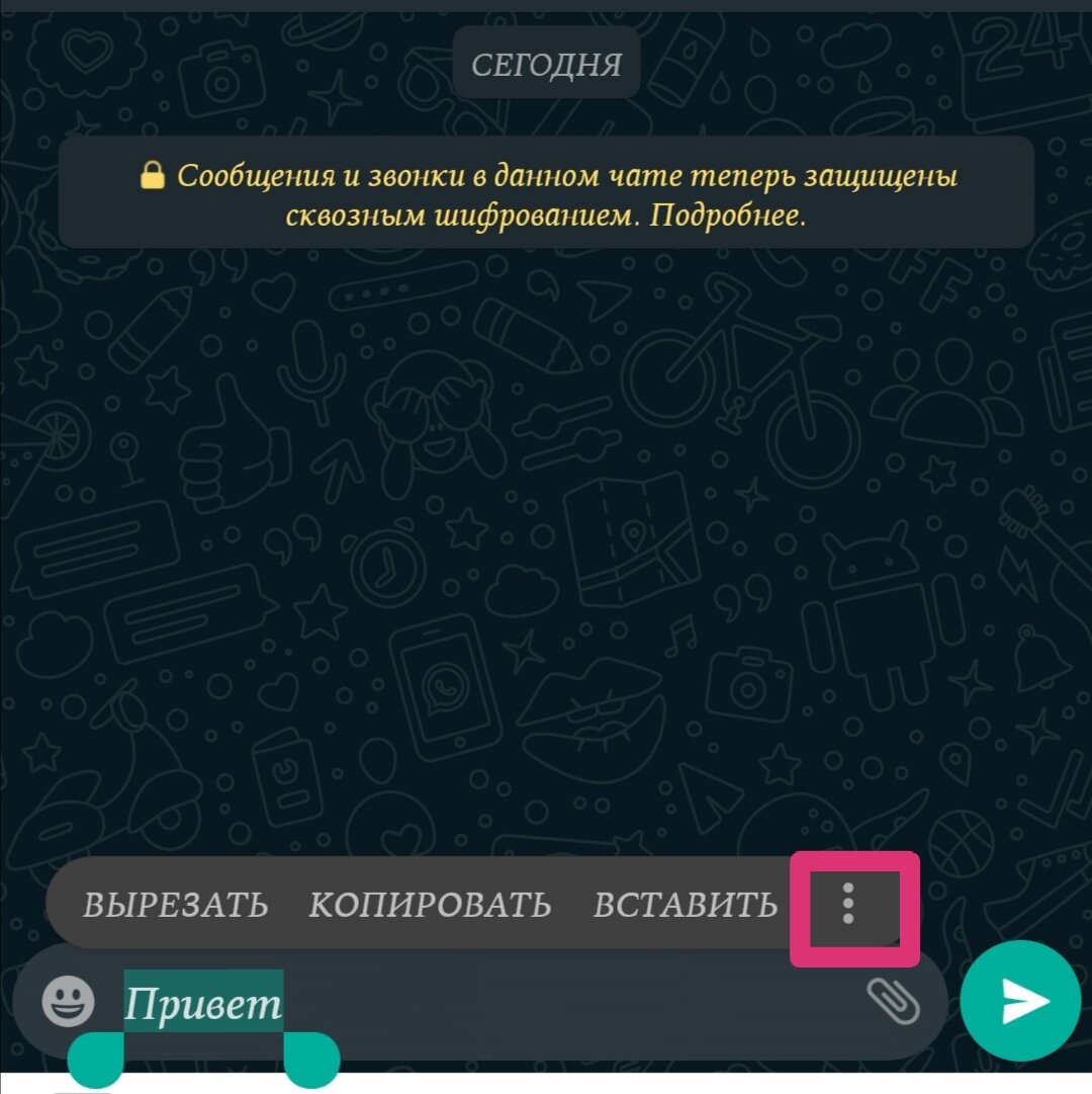 Как использовать жирный, курсивный и зачёркнутый шрифт в WhatsApp