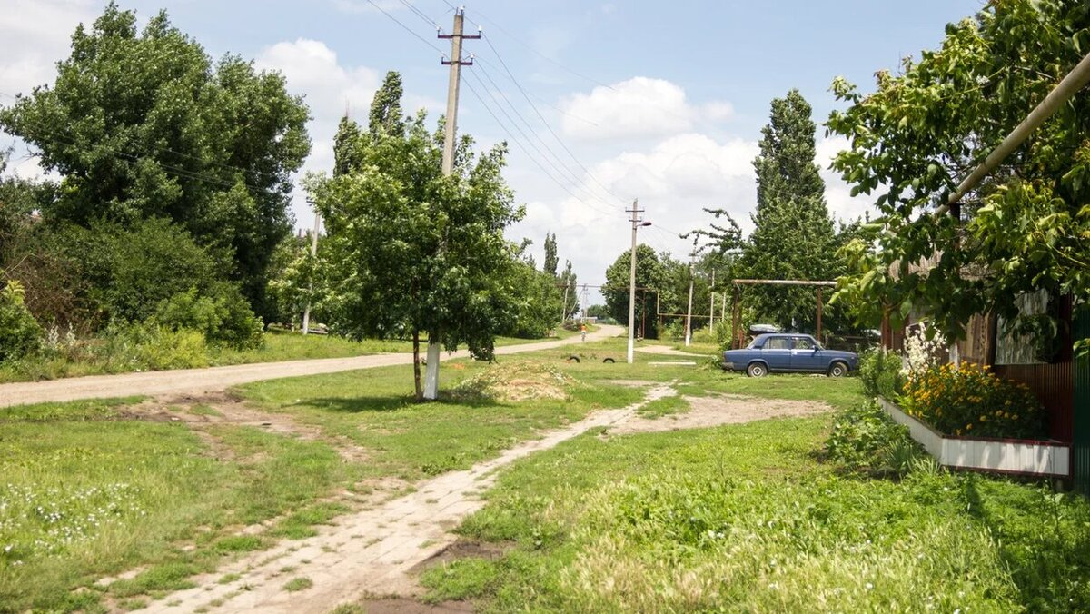 Фото автора.