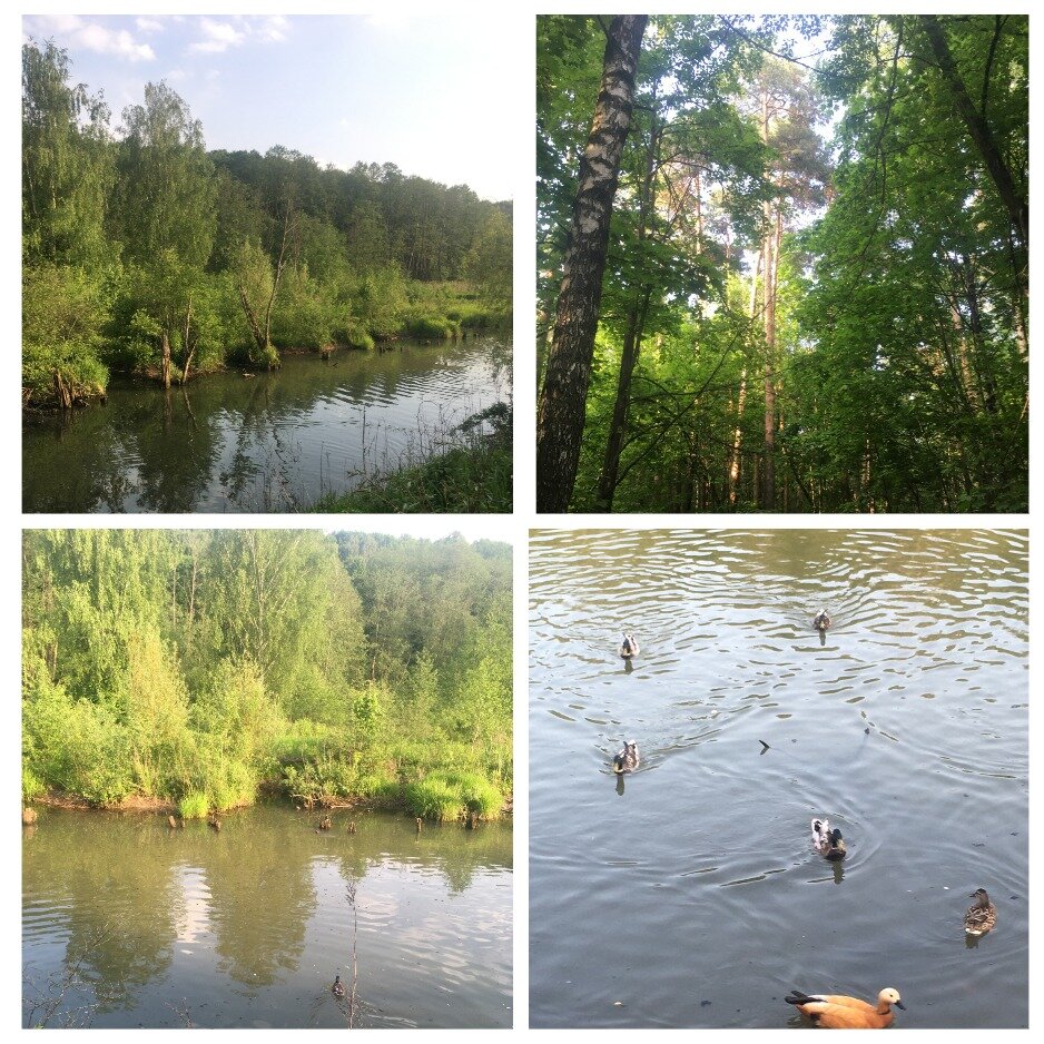 Красота природы поражает