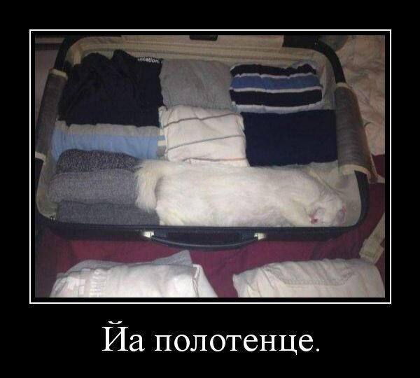 Фото из источника с открытым доступом.