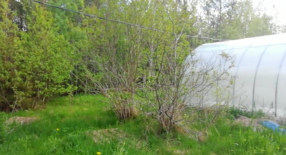 правописание ь знака после шипящих на конце имён существительных. ь знак после шипящих 3 класс правило. стенд по русскому языку для начальных классов. правописание с мягким знаком.