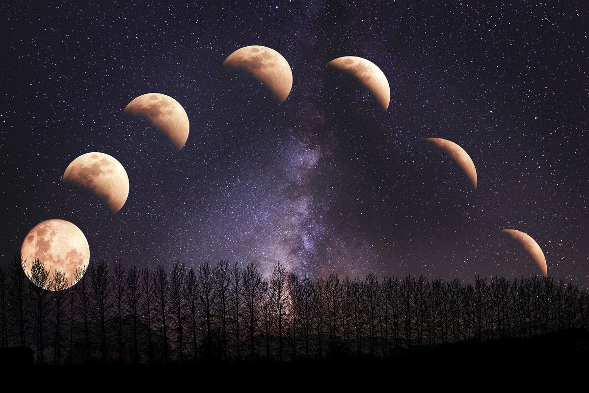 Изображение enriquelopezgarre с сайта Pixabay 