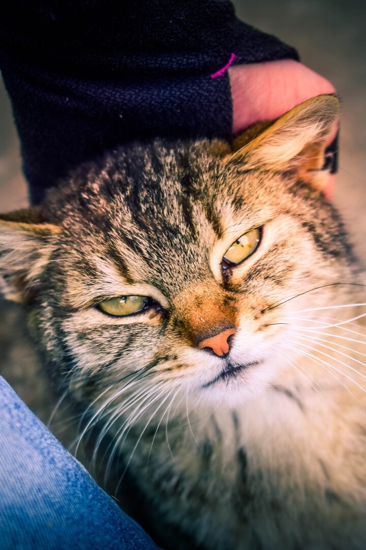 Это Маша :-) Когда Маша наглеет, становится Марией